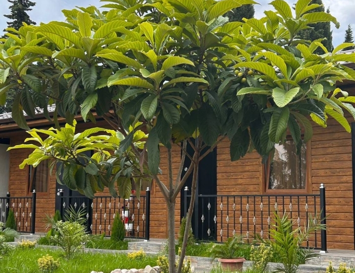 Отель «Фортиус» Сухум